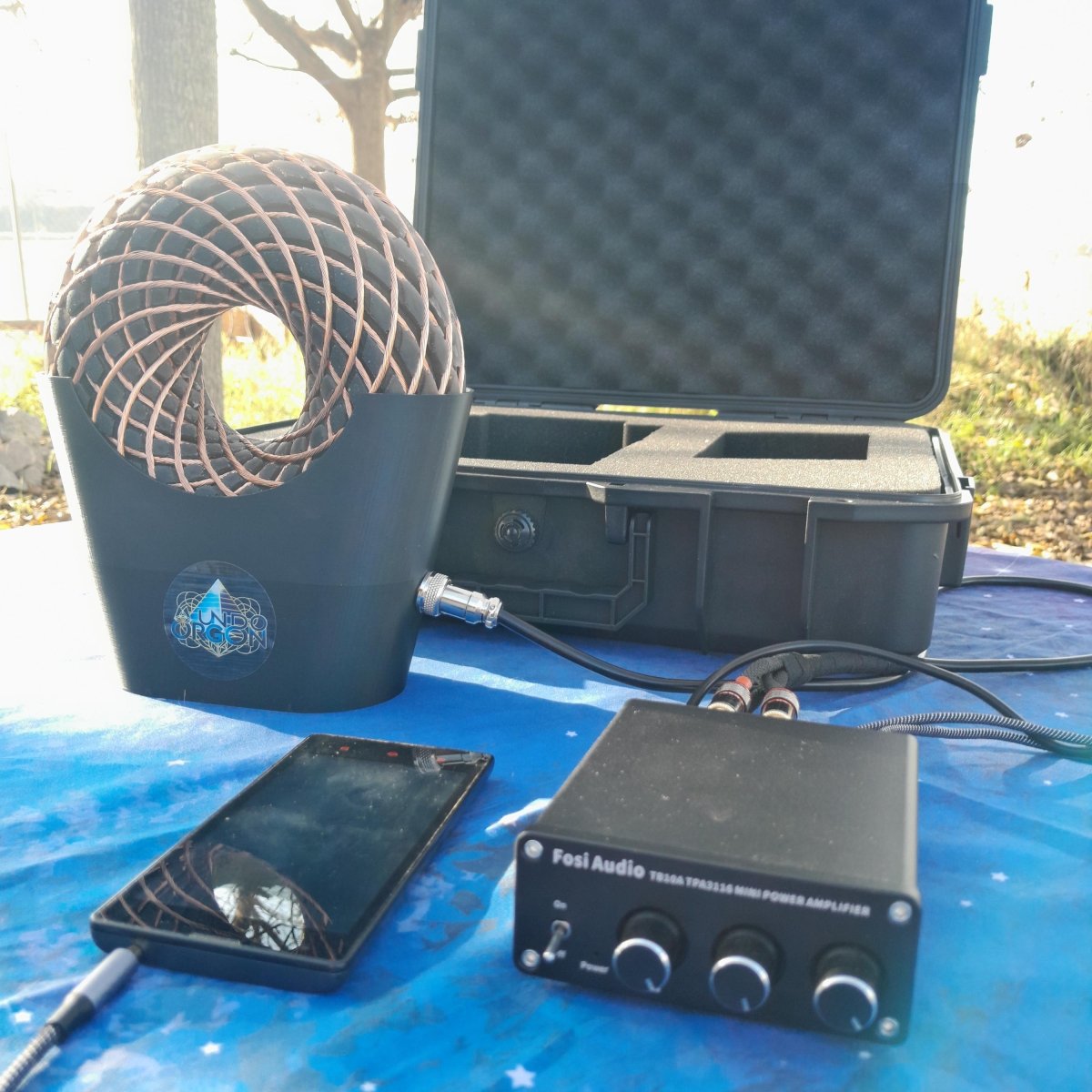 Bobina Torus Rodin 185mm con Shungita | Dispositivo PEMF de Ondas de Vórtice, Maleta Rígida y Amplificador 100W - Mundo Orgon