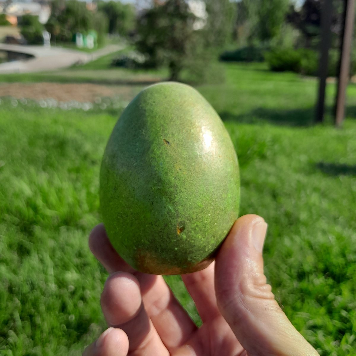 Huevo Orgonita Amarillo Limón - Mundo Orgon LTD