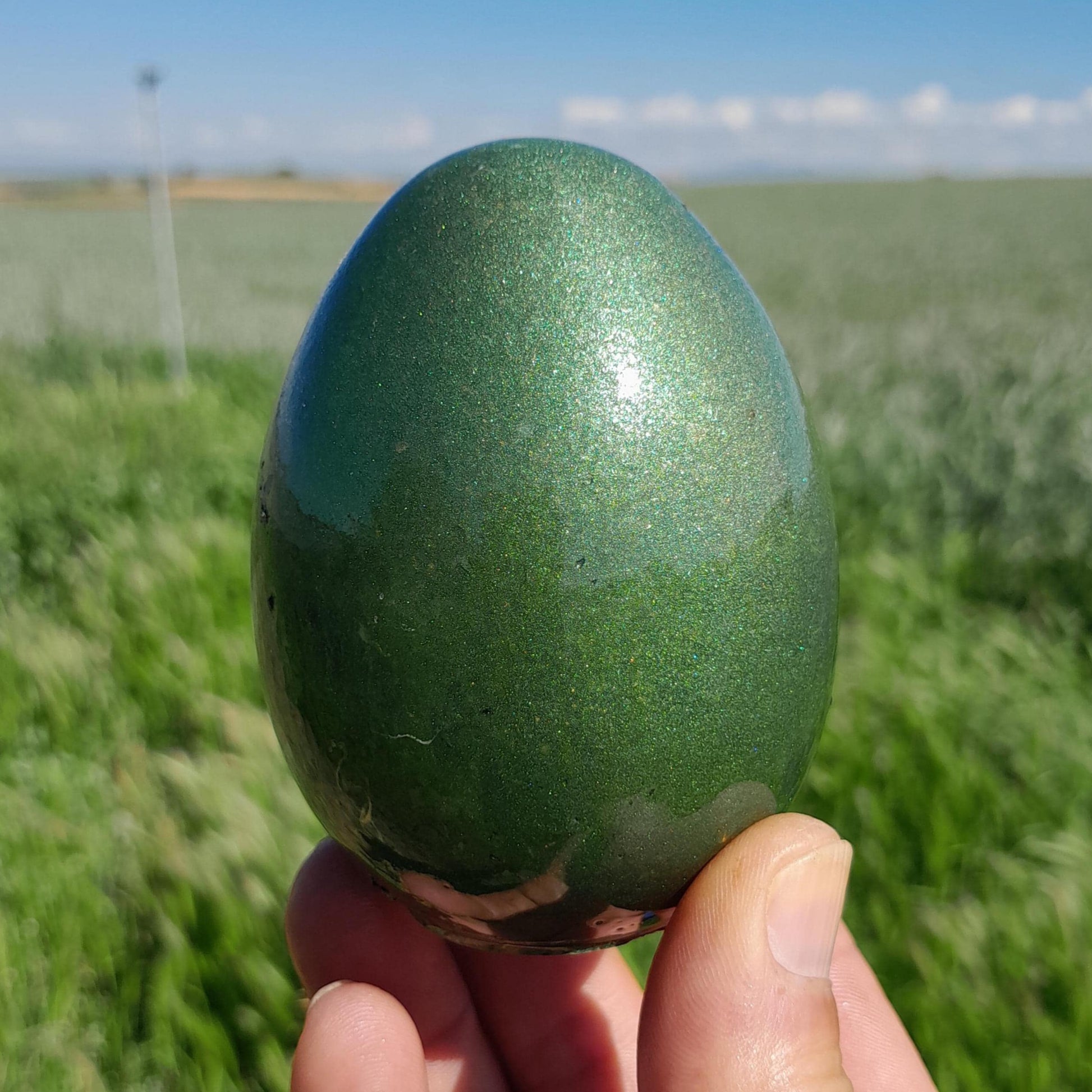 Huevo Orgonita Verde Oliva- Transmutador de Energías- Protección 5G- Orgone Energy