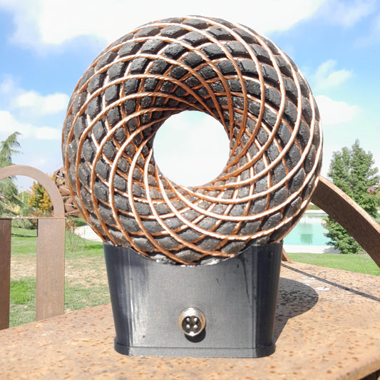 Bobina Rodin 185mm + Amplificador Fosi BT20A Pro | Dispositivo PEMF de Ondas Escalares con Maleta y Accesorios