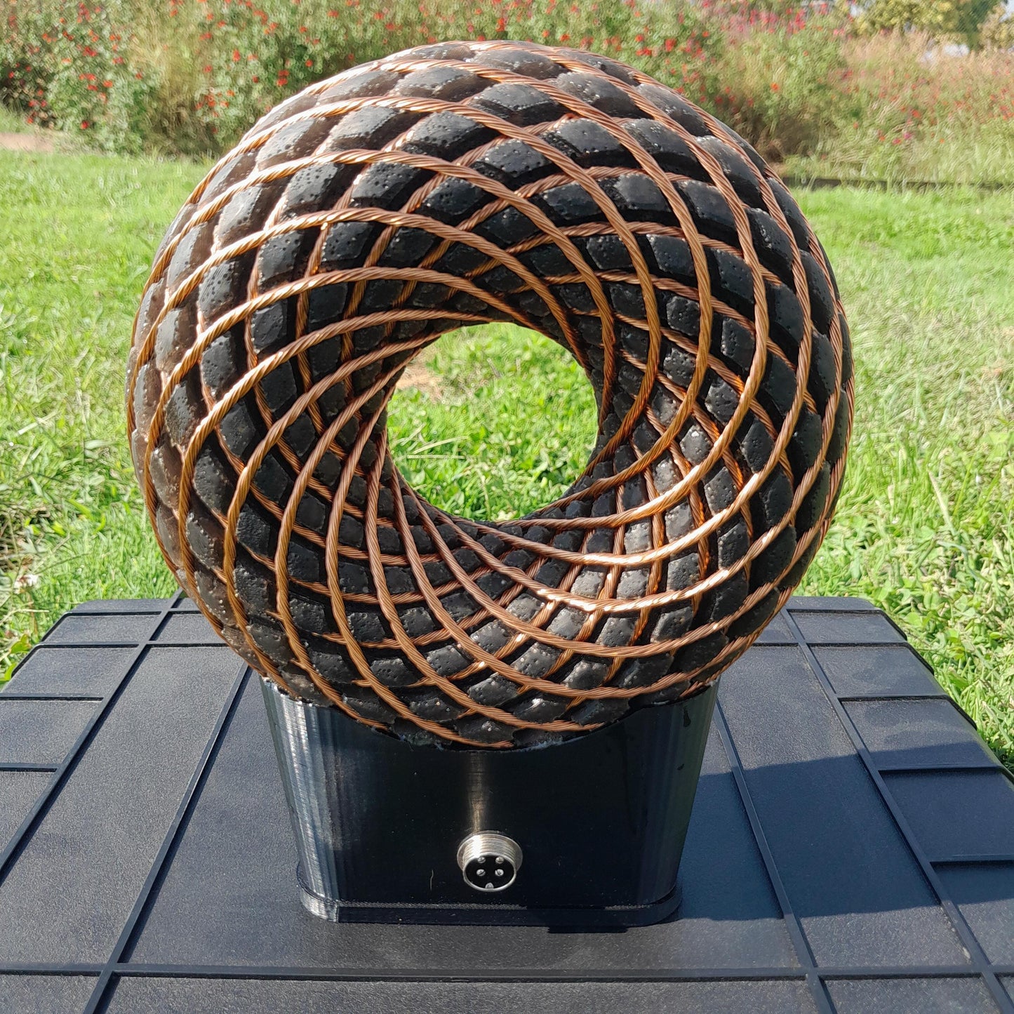 Bobina Rodin 185mm + Amplificador Fosi BT20A Pro | Dispositivo PEMF de Ondas Escalares con Maleta y Accesorios