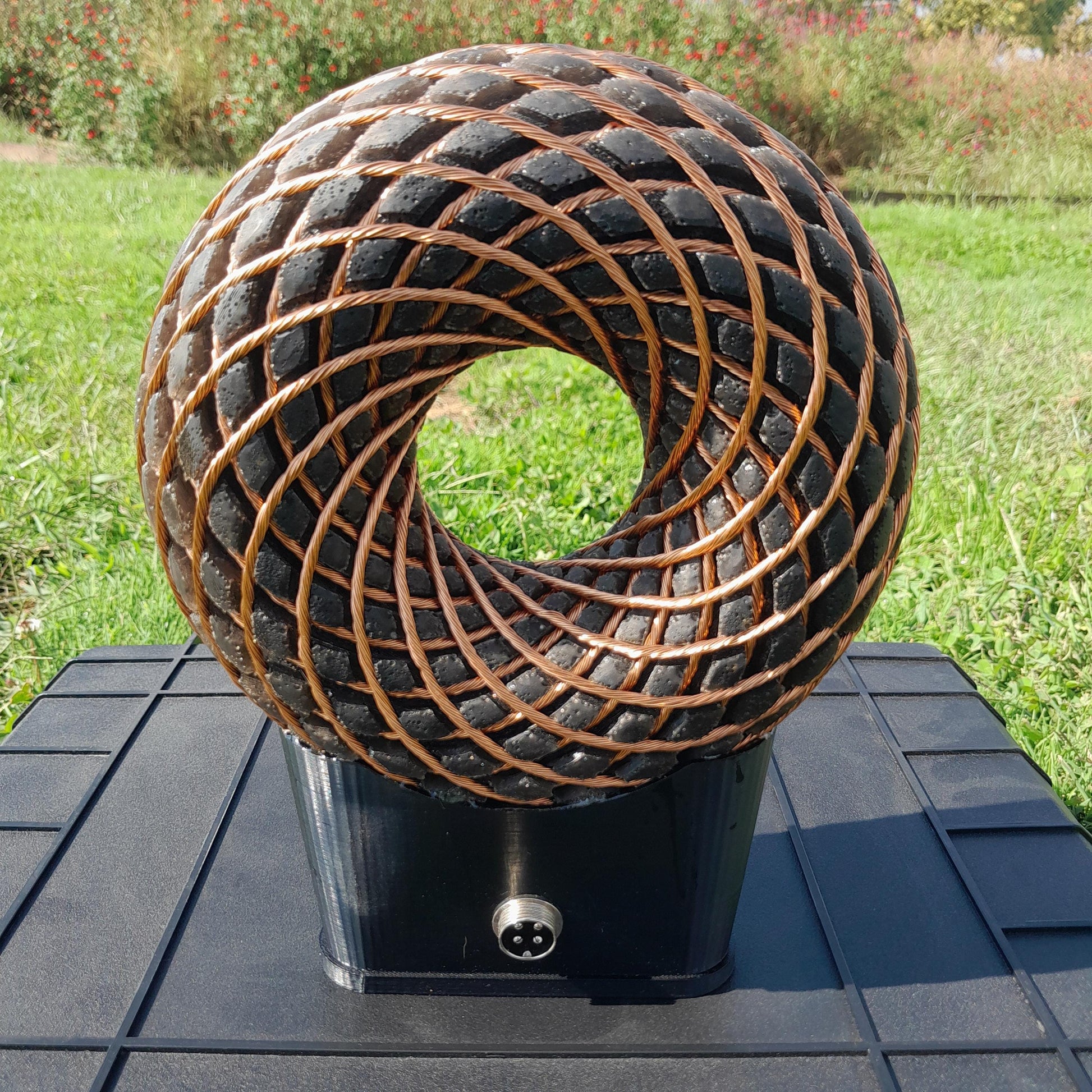 Bobina Rodin 185mm + Amplificador Fosi BT20A Pro | Dispositivo PEMF de Ondas Escalares con Maleta y Accesorios