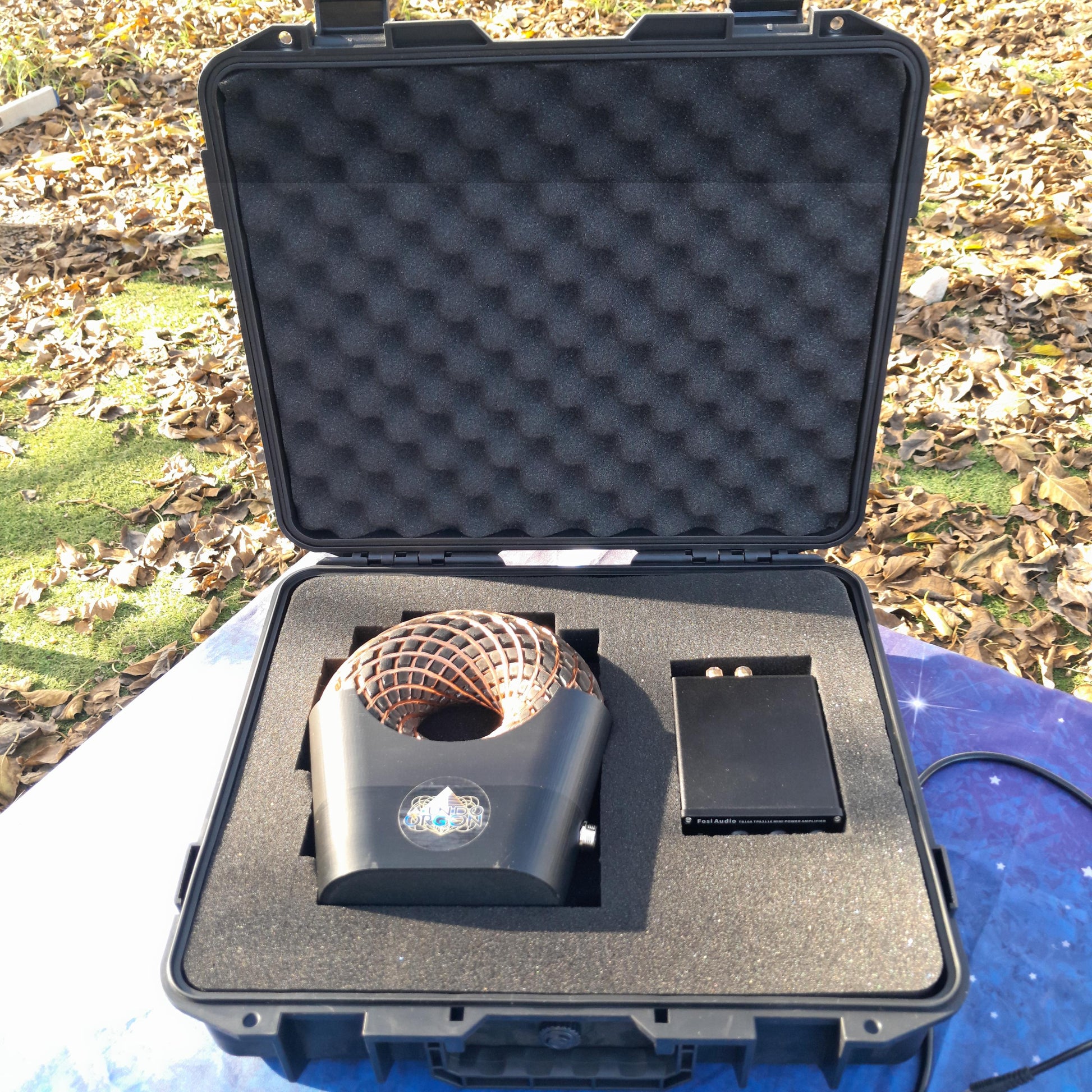 Bobina Torus Rodin 185mm con Shungita | Dispositivo PEMF de Ondas de Vórtice, Maleta Rígida y Amplificador 100W